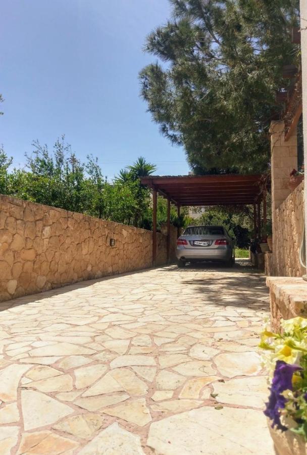 Mediterranean Garden Villa Vathí Extérieur photo