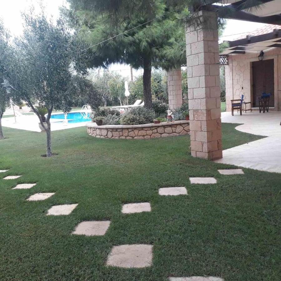 Mediterranean Garden Villa Vathí Extérieur photo