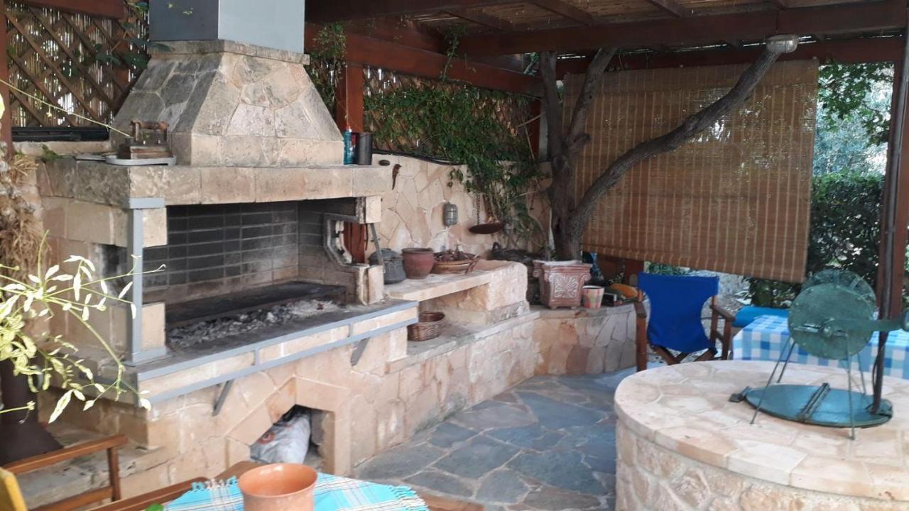 Mediterranean Garden Villa Vathí Extérieur photo